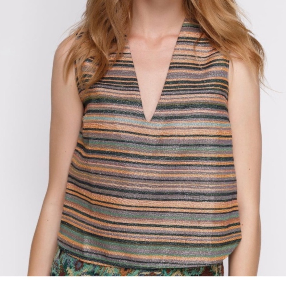 Zara Cropped Metallic Thread Top